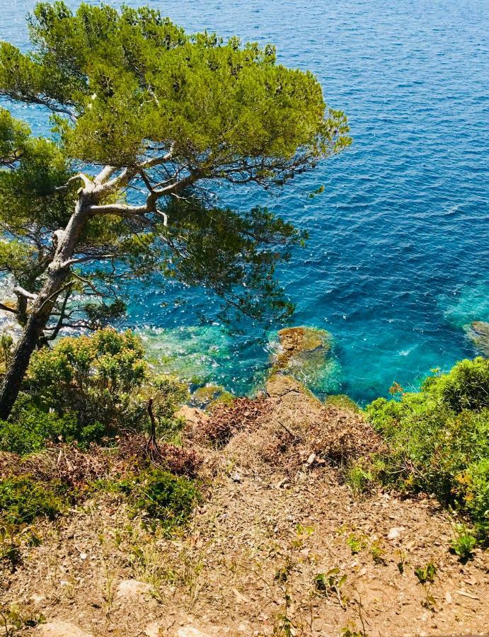 Ferienwohnung Mazet « Domaine De La Pinede » Le Lavandou Exterior foto